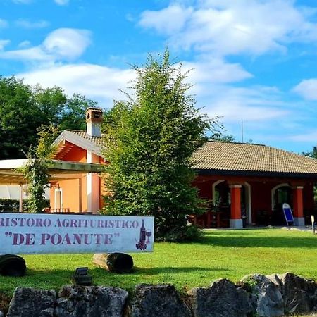 Alloggio E Agriturismo De Poanute Faedis Экстерьер фото